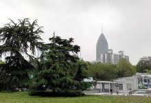 红米1s闪光灯的性能及使用评测（红米1s闪光灯功能介绍及实际使用效果分析）