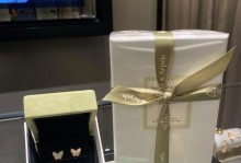 蝴蝶909（用创新与激情展现未来音乐的可能性）