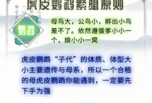 如何分辨虎皮鹦鹉的雌雄性别（细微差异揭示真相，轻松辨别雌雄）