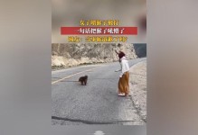 探索IntelE5345处理器的性能与特点（一款强大而稳定的处理器为您带来无限可能）