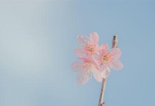 如何以电脑背景图片满屏（让你的电脑屏幕充满美丽）