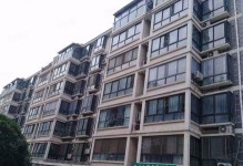 河源中兴的现状及前景展望（河源中兴）