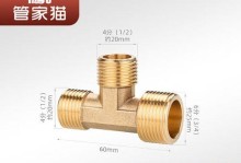 猫管家专修（为您的猫咪提供全方位的专业照料与关爱）