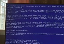 电脑插优盘导致蓝屏的原因及解决方法（探究优盘插入电脑导致蓝屏的各种情况和解决方案）