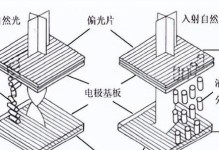 三星TN屏幕的性能和特点（详解三星TN屏幕的画质、响应速度和可视角度）