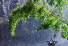 探索双侨手机的卓越性能与创新（解析双侨手机的高端配置、智能功能与用户体验）