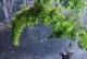 探索双侨手机的卓越性能与创新（解析双侨手机的高端配置、智能功能与用户体验）